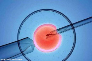 胚胎学家
